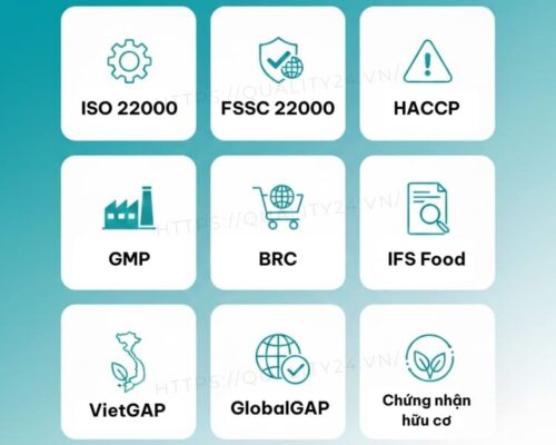 Các tiêu chuẩn chứng nhận an toàn thực phẩm phổ biến