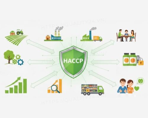 Vai trò của chứng nhận HACCP đối với người tiêu dùng và xã hội
