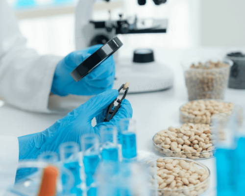 Lợi ích khi quản lý an toàn thực phẩm hiệu quả và bền vững