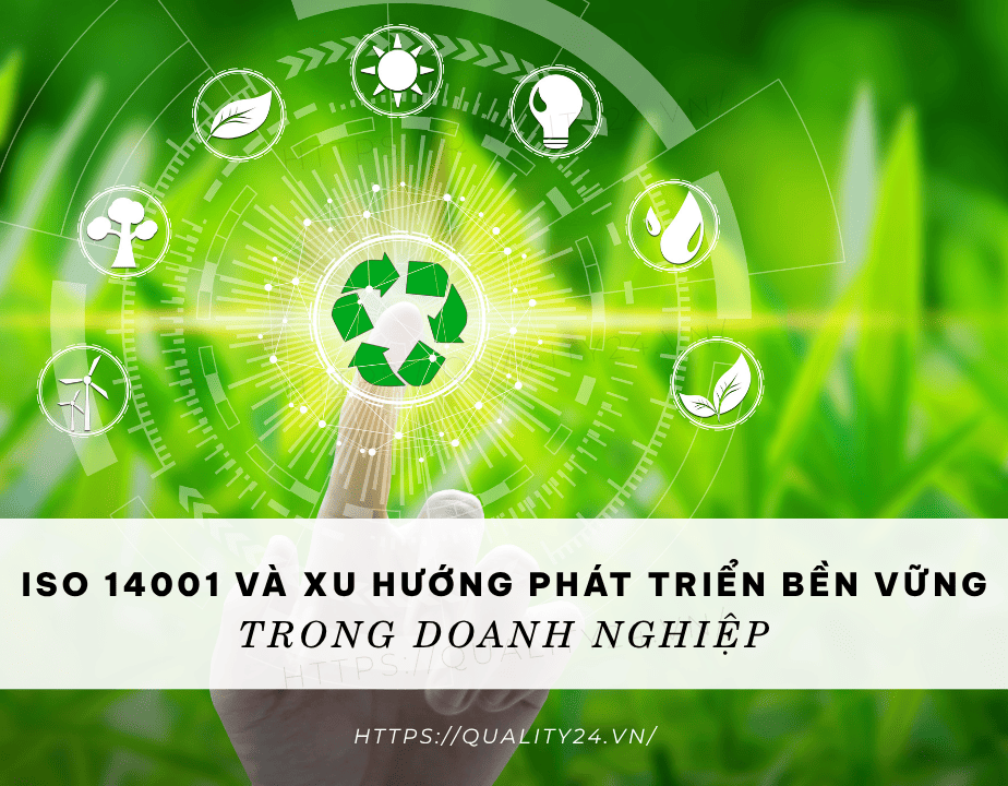 ISO 14001 và xu hướng phát triển bền vững trong doanh nghiệp