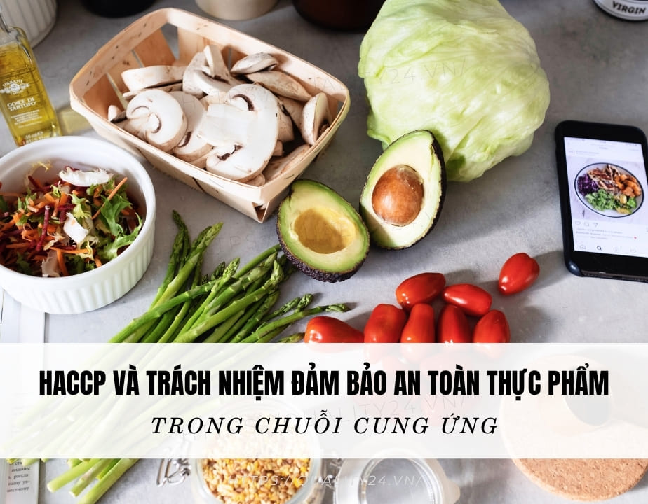HACCP và trách nhiệm đảm bảo an toàn thực phẩm trong chuỗi cung ứng