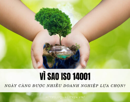 Vì sao ISO 14001 ngày càng được nhiều doanh nghiệp lựa chọn?